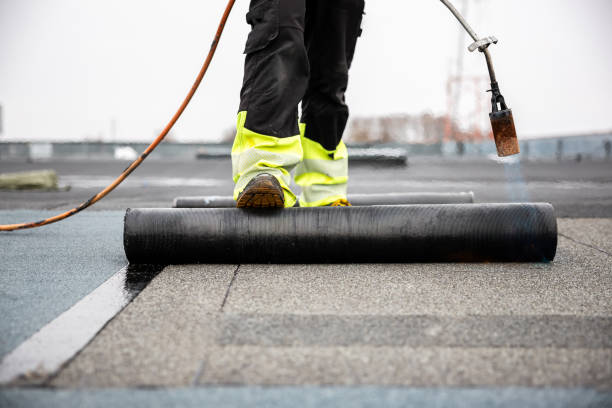 Best Roof Moss and Algae Removal  in Emporium, PA